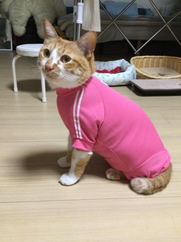 送料込】【猫専用】猫用体操服ジャージつなぎ フルオブビガー 猫の服