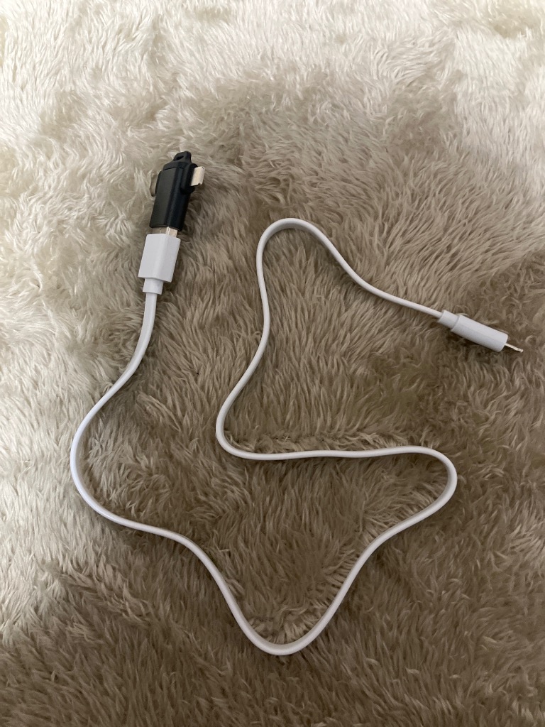 レビュー画像