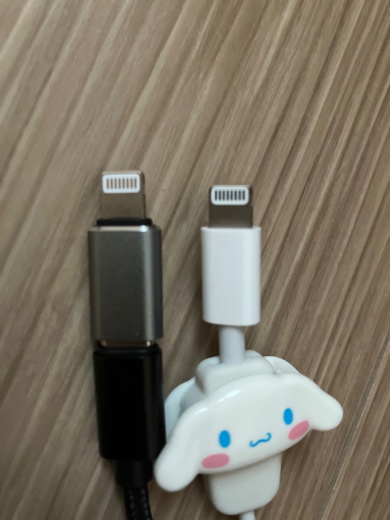 レビュー画像