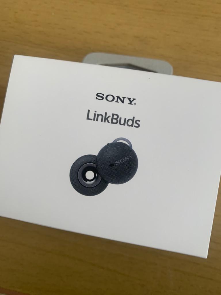 ソニー インイヤー 開放型 完全ワイヤレスイヤホン LinkBuds WF