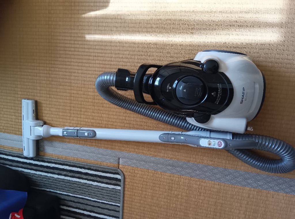 SHARP シャープ 遠心分離サイクロン 掃除機 EC-CT12-C ベージュ
