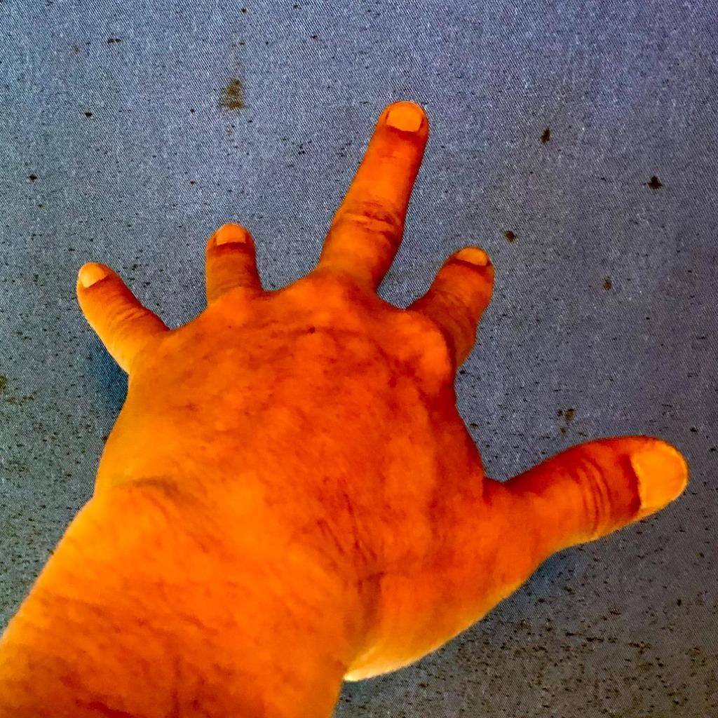 7件目のレビュー画像 | 0