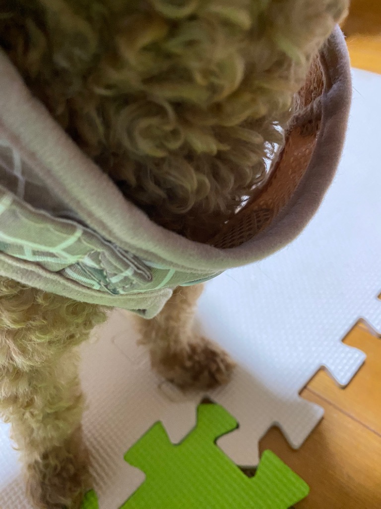 全体のレビュー画像 | 5-2
