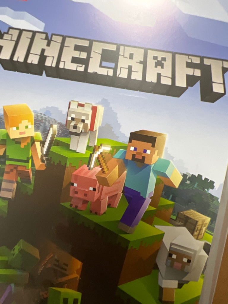 家庭用ゲームソフト Minecraft Switch Nintendo Switch Minecraft – WAFUU JAPAN
