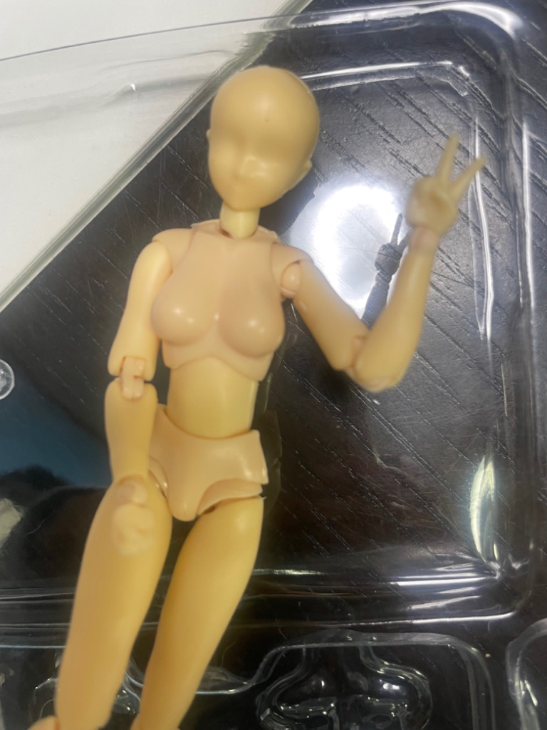 デッサンモデル デッサン人形 モデル人形 矢吹健太朗 素体漫画
