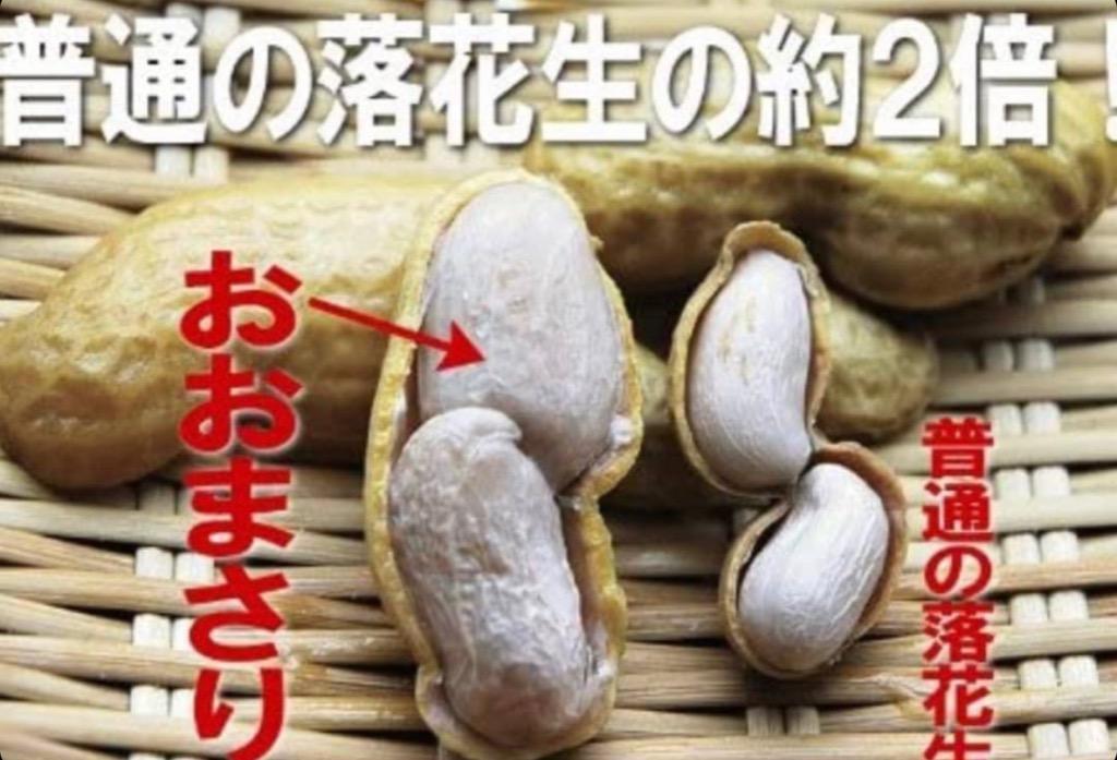 鮮度抜群！2022年度産 新豆 手もぎ掘り取りジャンボ生落花生(おおまさり)1kg千葉県八街産落花生【同梱不可】【日付指定不可】【クール冷蔵便発送】 クール代込 :10001111:遠藤ピーナツ - 通販 - Yahoo!ショッピング