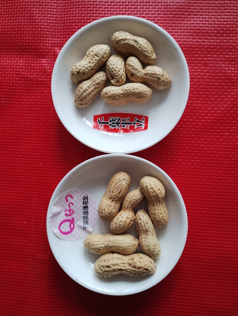 落花生　訳あり　煎り落花生　Qナッツ　俵農園　千葉　　おつまみ　自然食品 imgrc0085241925.jpg