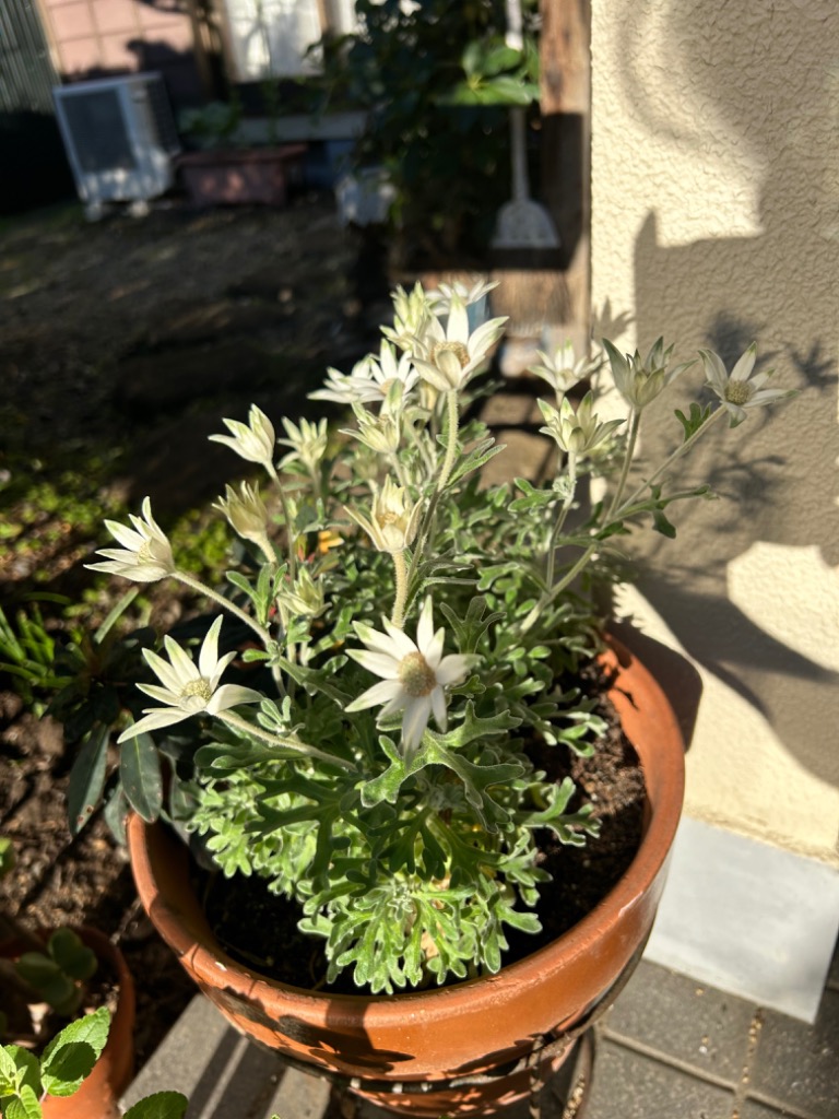 全体のレビュー画像 | 0-0