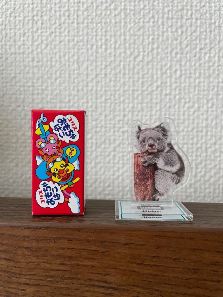 限定価格セール ポストカード 5枚セット 5枚 羊 コアラ イングランドの丘 動物 動物写真 自然 かわいい おしゃれ みどり ゆうき ひまり ころ くるり Shipsctc Org