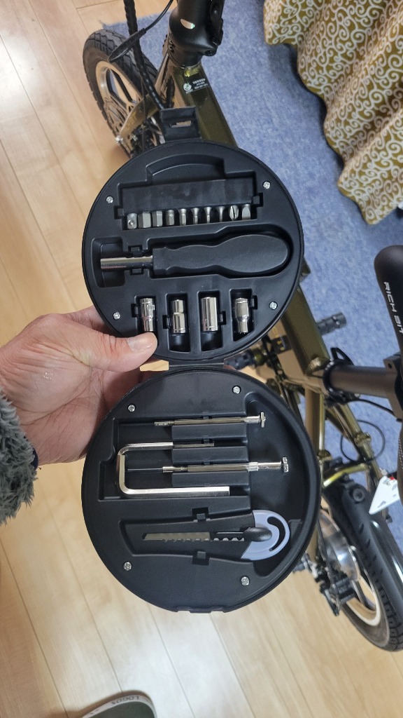 RICH BIT 到着後レビュー投稿でプレゼント】 電動バイク 特定