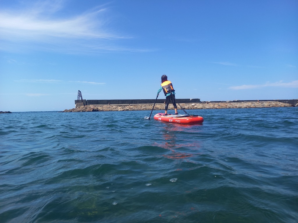 Boat55 SUP パドル 子供用 レディース 軽量 約600g 110-150cm