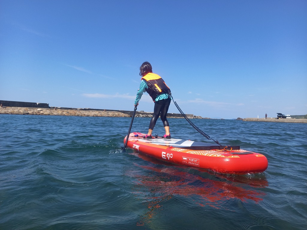 Boat55 SUP パドル 子供用 レディース 軽量 約600g 110-150cm Boat55 SUP パドル 子供用 レディース 軽量 約600g 110-150cm