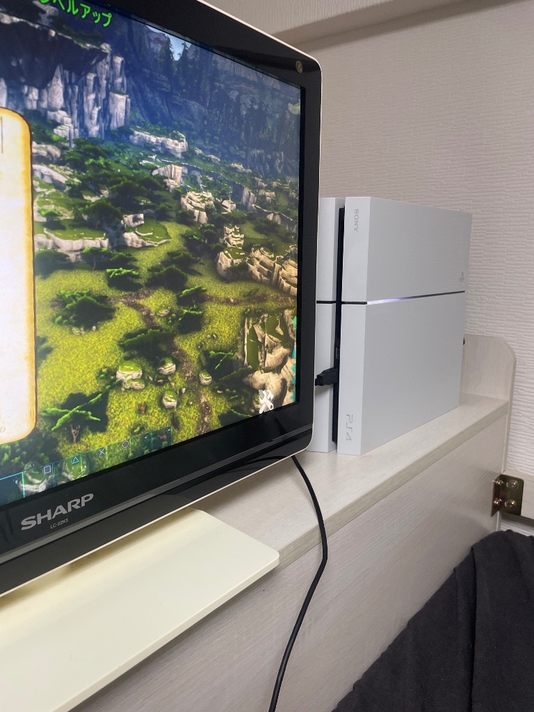 ソニー・インタラクティブエンタテインメント PlayStation4