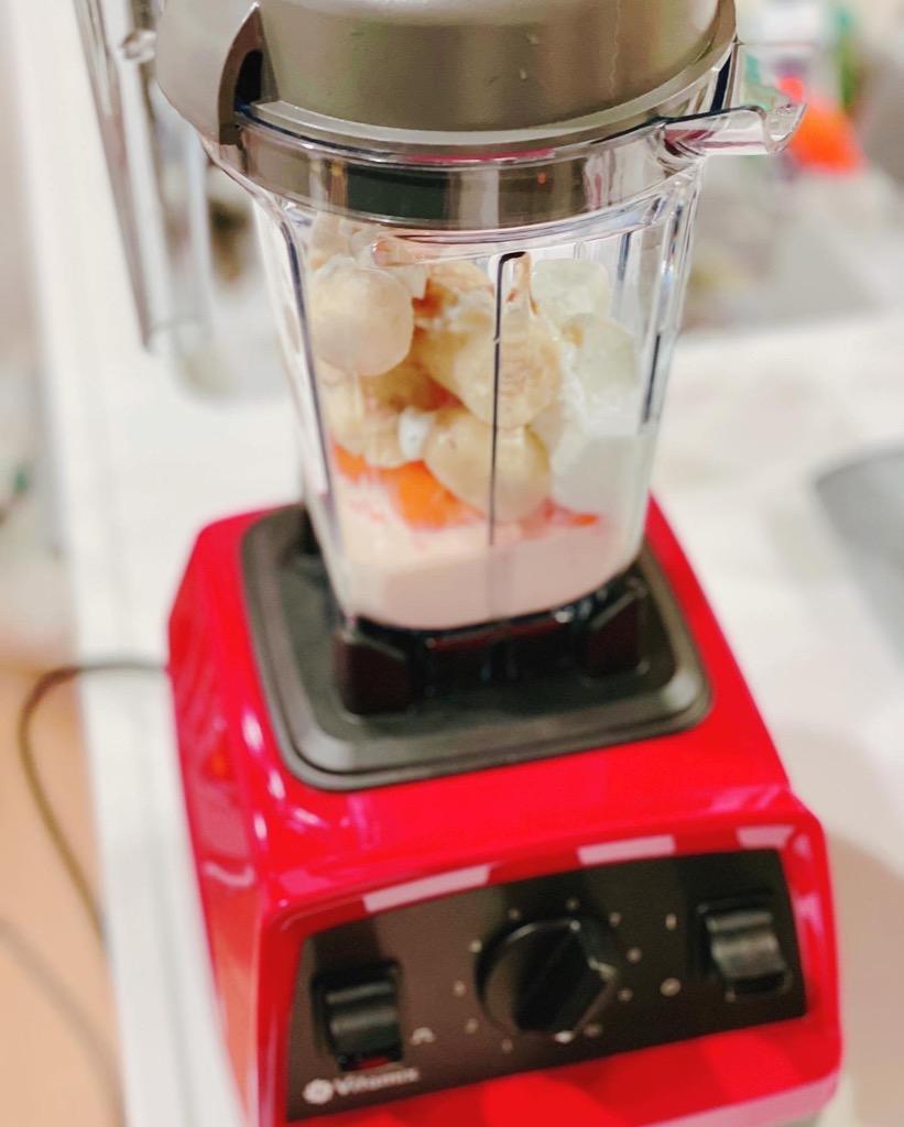 店舗 Vitamix ミニ ウェットコンテナー0.9L E310 TNC Pro500用 99810