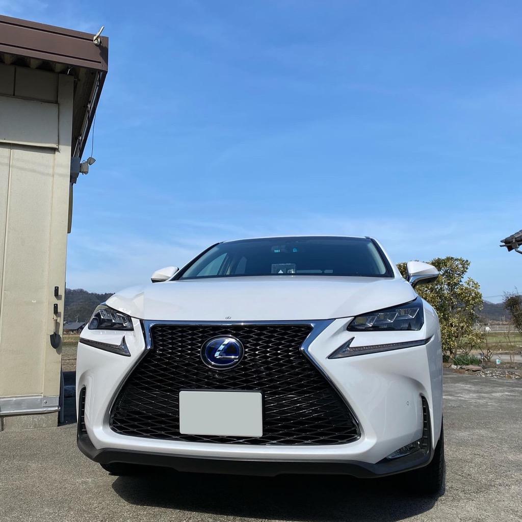 LEXUS レクサス 純正 NX Fスポーツ用 前期 フロントグリル 流用可能 NX200t NX300h フロントカメラ無 ソナー有