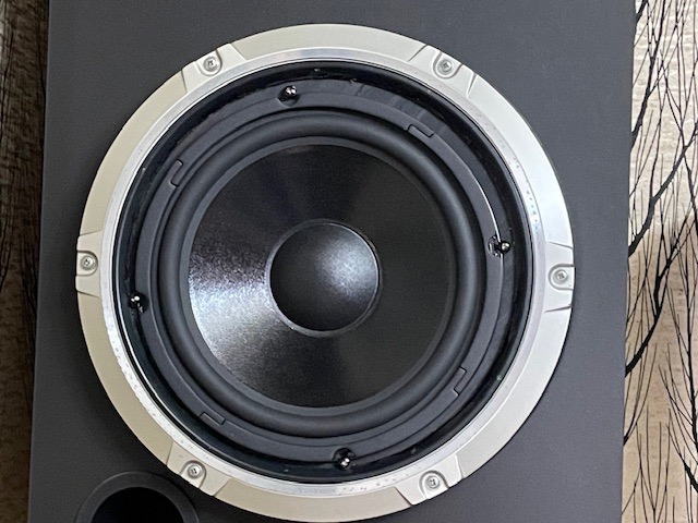 Dayton Audio DC250-8 スピーカーユニット 25cm ウーファー 8Ω : EOSS