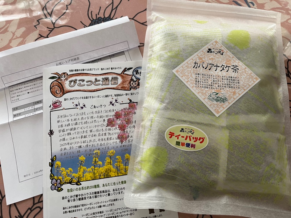 森のこかげ 2 カバノアナタケ茶 2g×50p チャーガ茶 キノコ茶 ティー