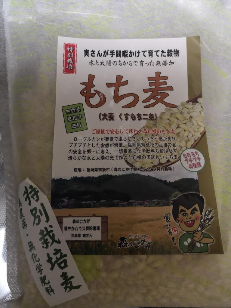 森のこかげ もち麦 500g 無農薬 特別栽培 福岡県産 筑後市 自然米 :KTS-928:いーぴこっとヤフーショップ - 通販 -  Yahoo!ショッピング