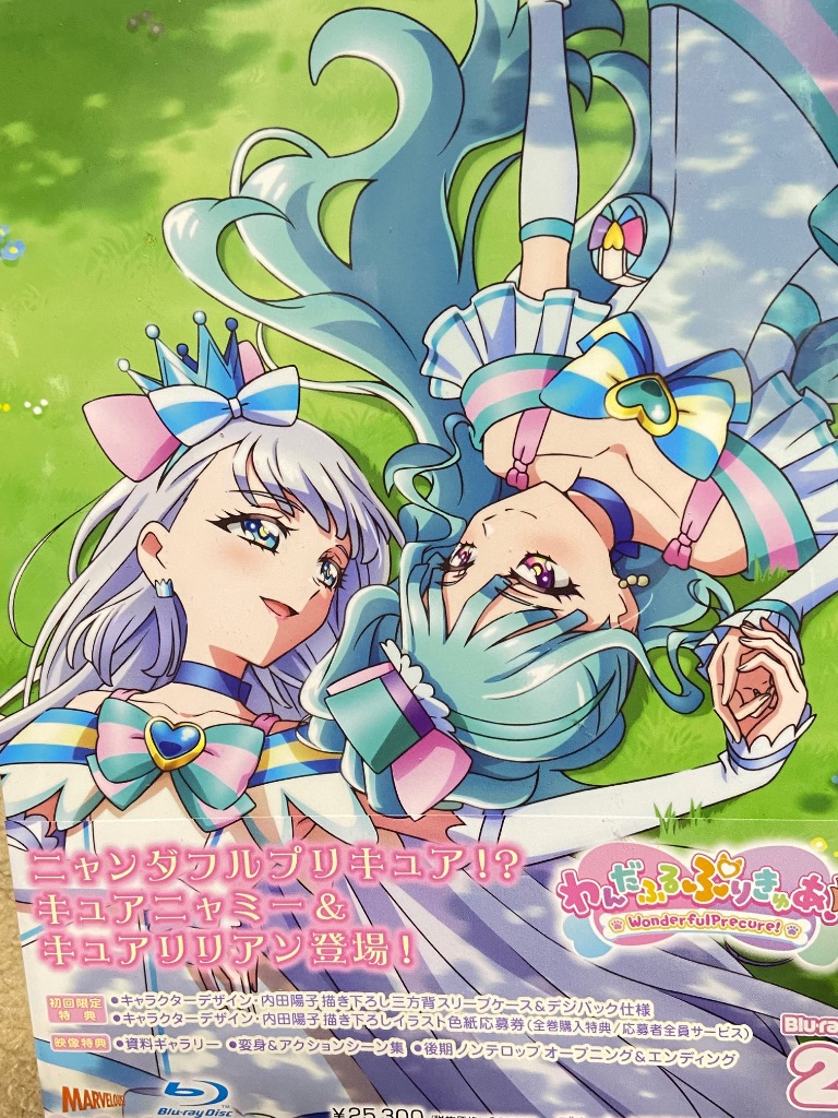 わんだふるぷりきゅあ！ vol.2 【Blu-ray】 : ハピネット・オンライン