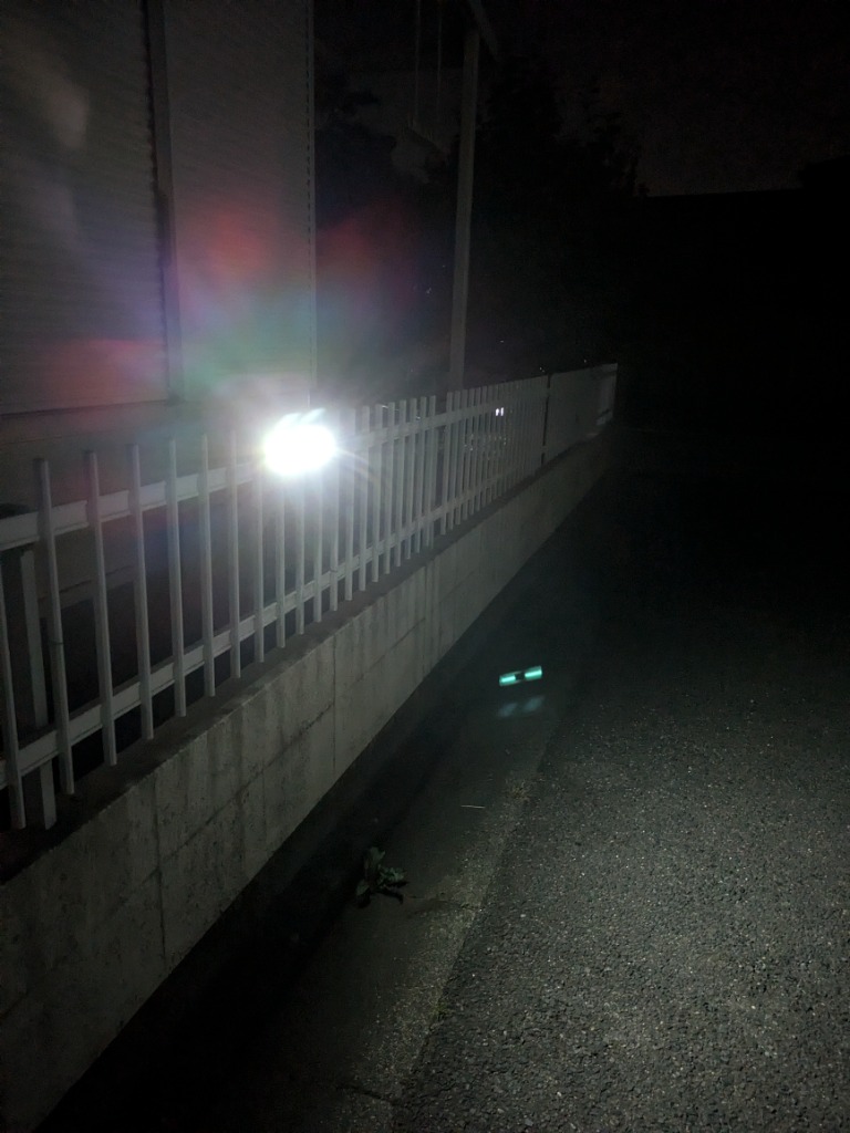 レビュー画像