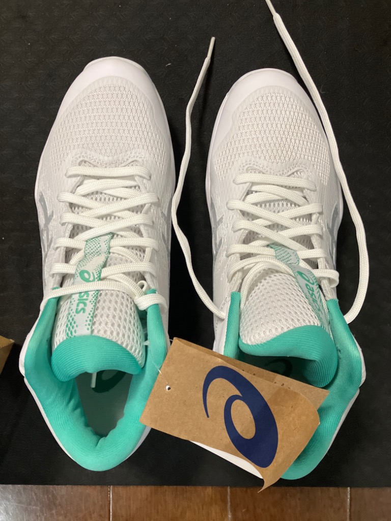 asics アシックス　ノヴァフロー2 バッシュ　バスケシューズ白28cm新品 ASICS アシックス NOVA FLOW 2 ノヴァ フロー 1063A071 STANDARD