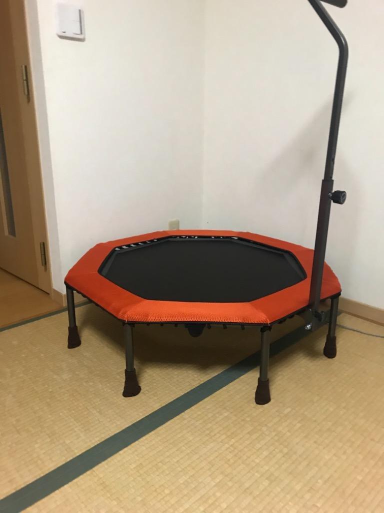 LEADING EDGE リーディングエッジ フィットネストランポリン