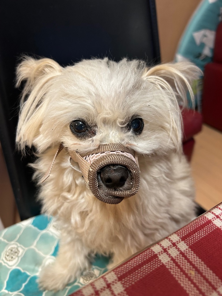 全体のレビュー画像 | 0-0