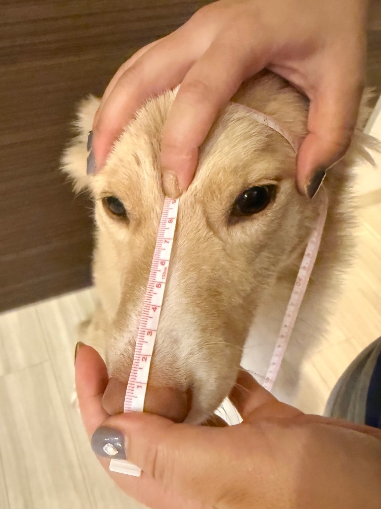 全体のレビュー画像 | 1-3