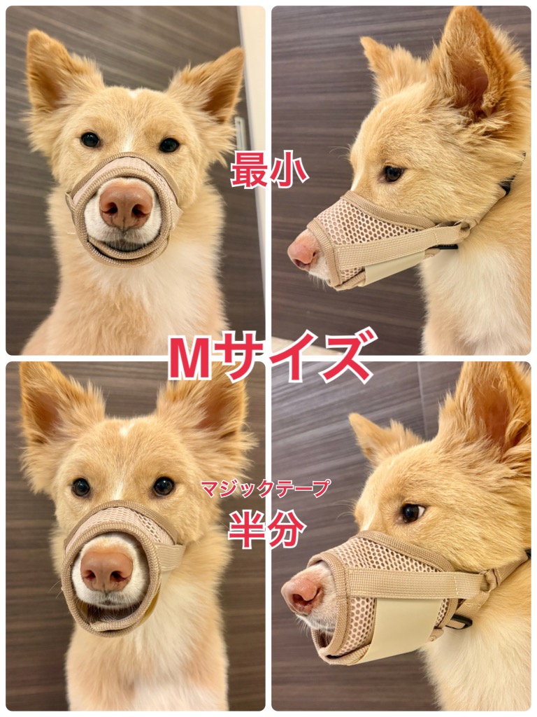 全体のレビュー画像 | 1-0