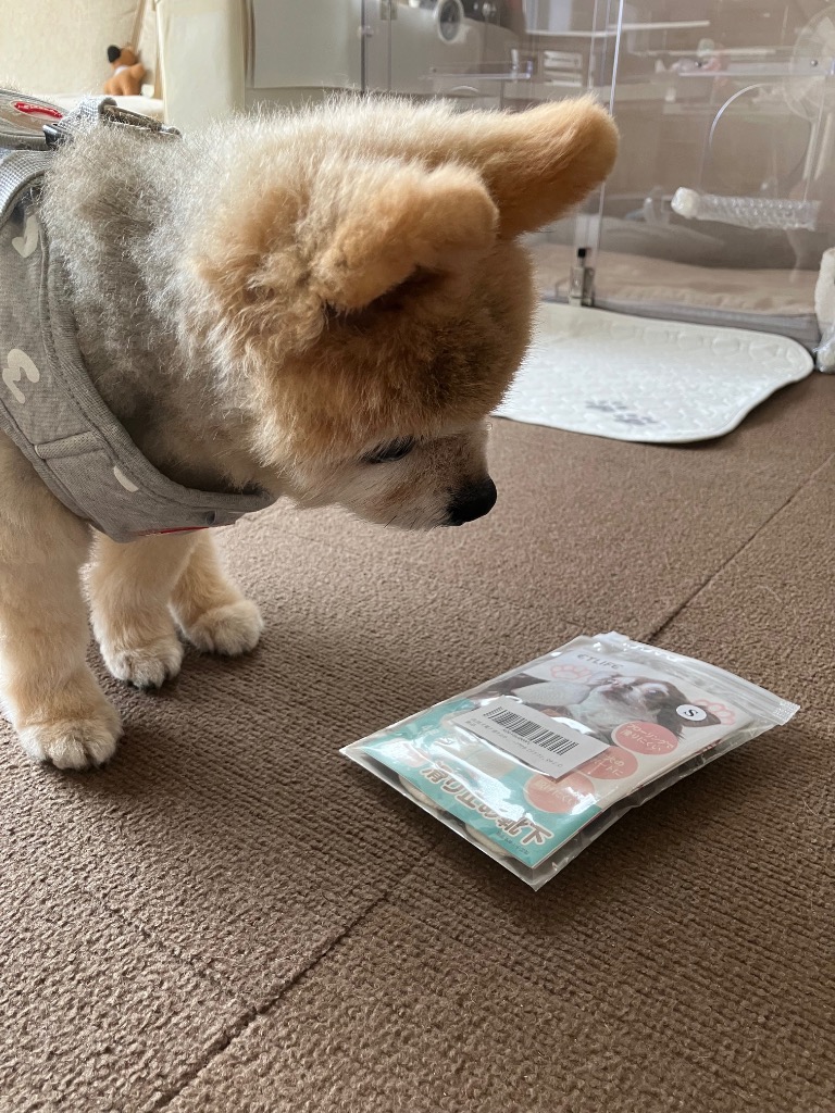 全体のレビュー画像 | 4-0