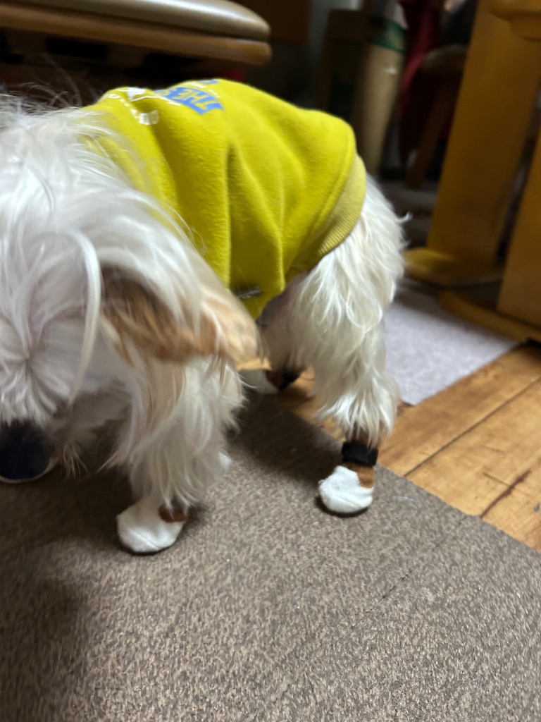 全体のレビュー画像 | 2-0