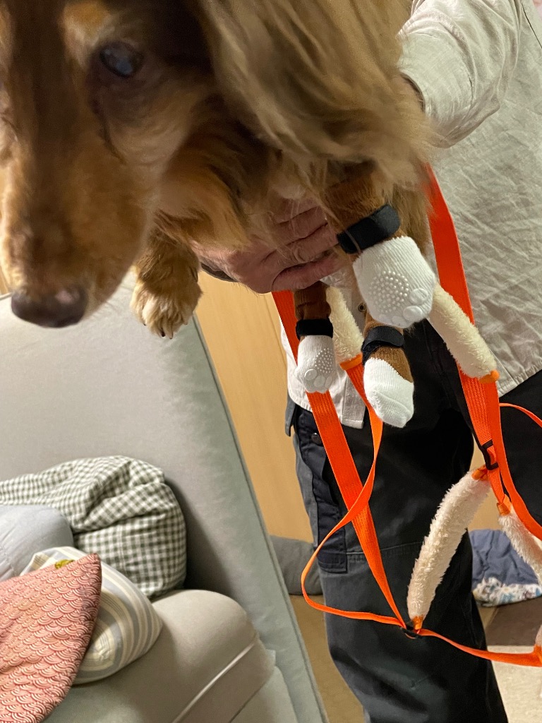 全体のレビュー画像 | 3-0