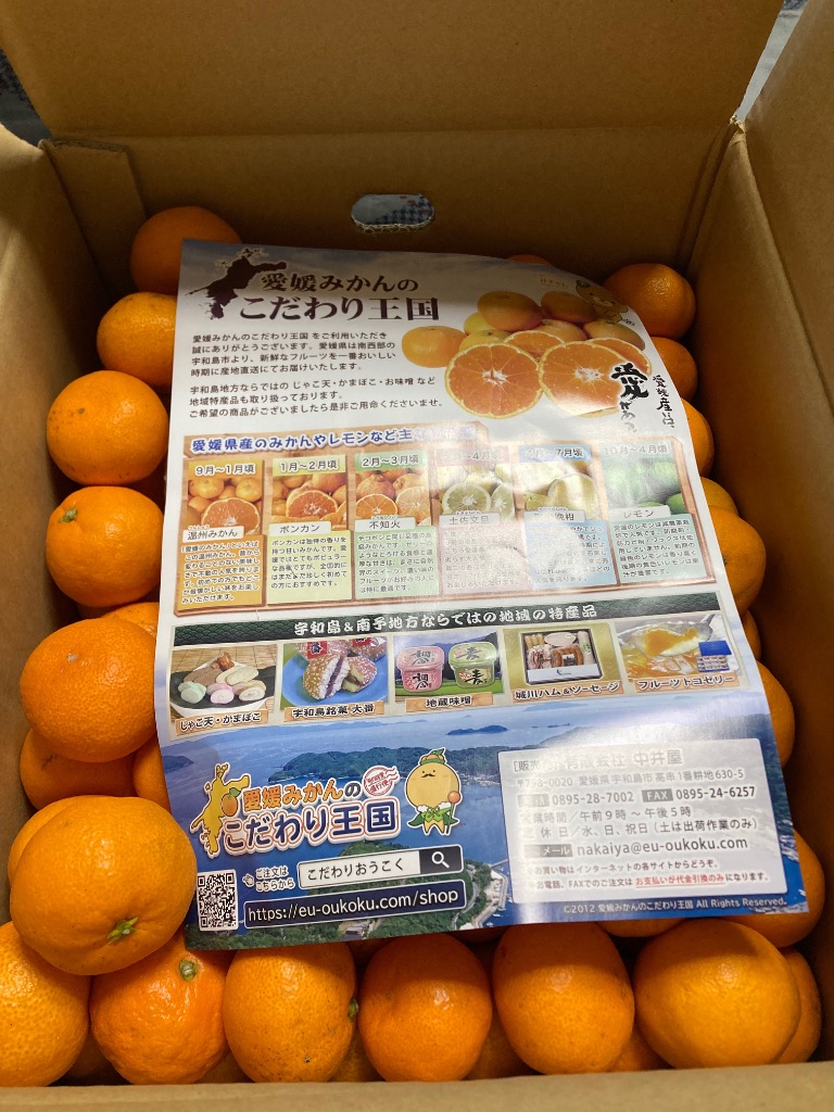 訳あり 愛媛みかん 小玉サイズ 10kg 愛媛県産 自宅用 家庭用 宇和島