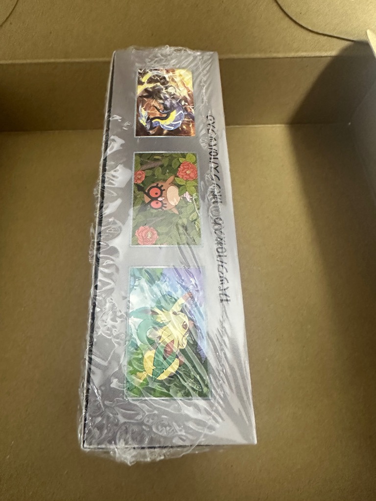 テラスタルフェスex ブラックボルトデラックス　シュリンク付2boxセット ポケモンカードゲーム テラスタルフェスex BOX スカーレット