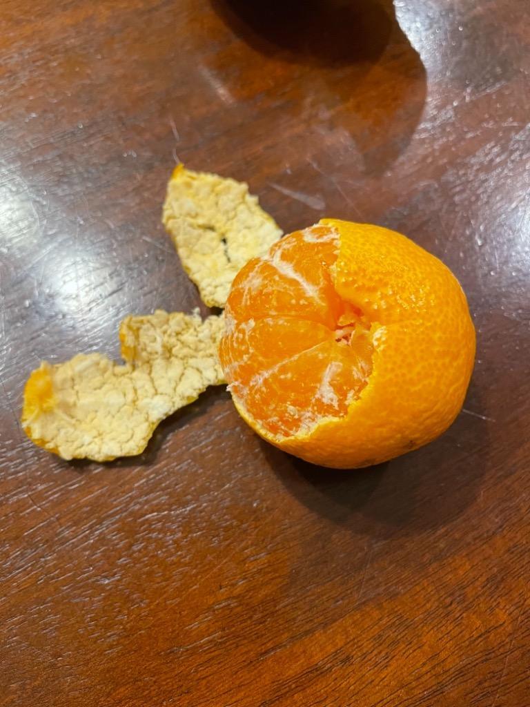 1件目のレビュー画像 | 1