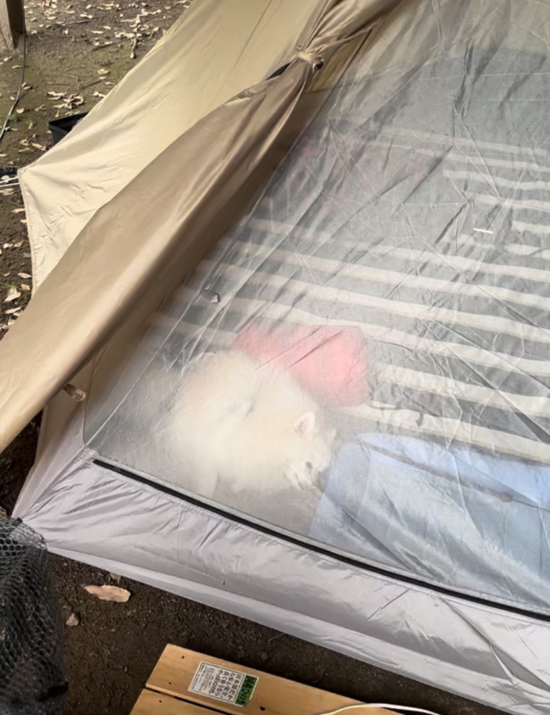 全体のレビュー画像 | 1-0