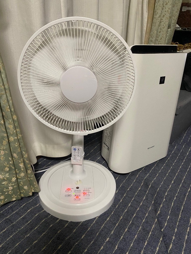 アズマ DCモーター ビング扇風機 EAY-LFD307RD ホワイト 扇風機