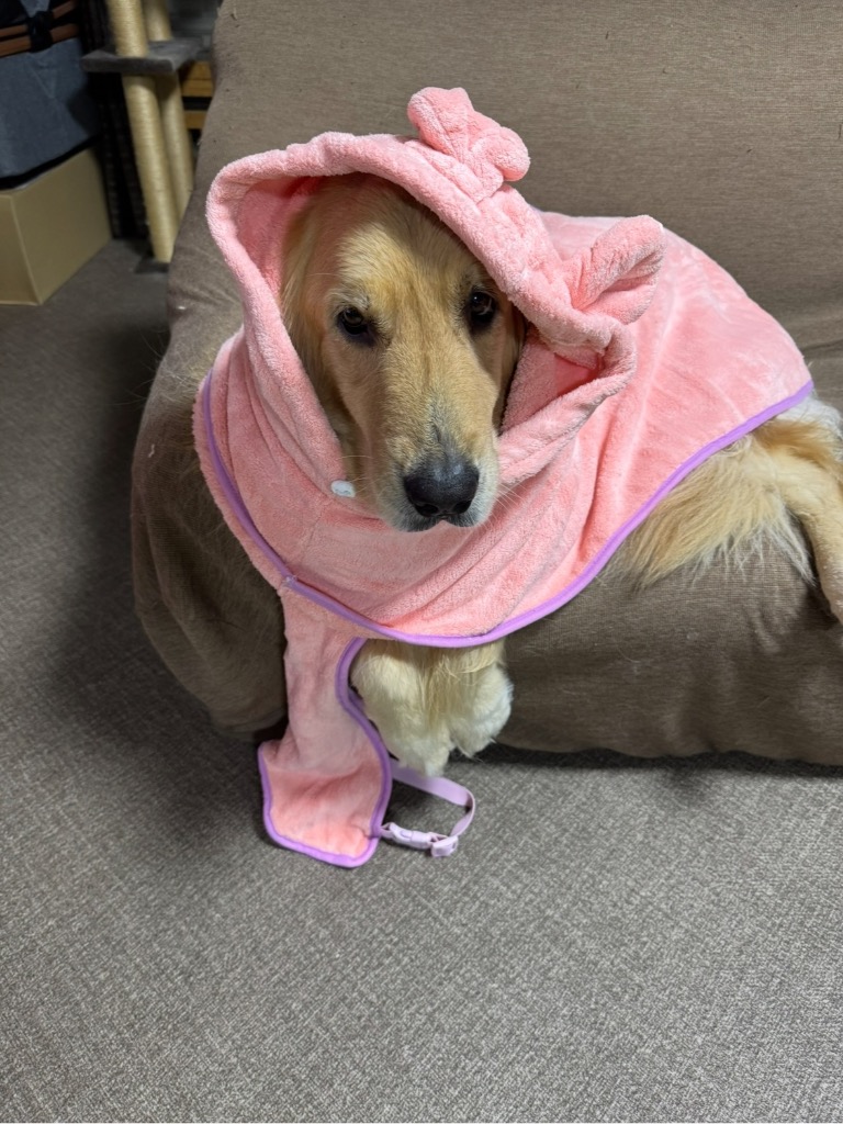 レビュー画像
