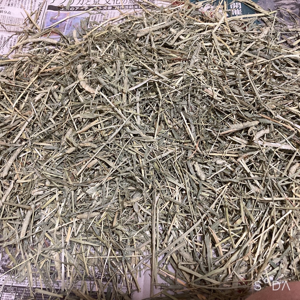 EXTOLEVEL 令和6年産 新刈り 牧草 1番刈チモシー 2番刈チモシー