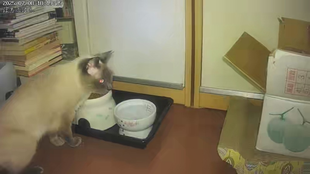 1件目のレビュー画像 | 2
