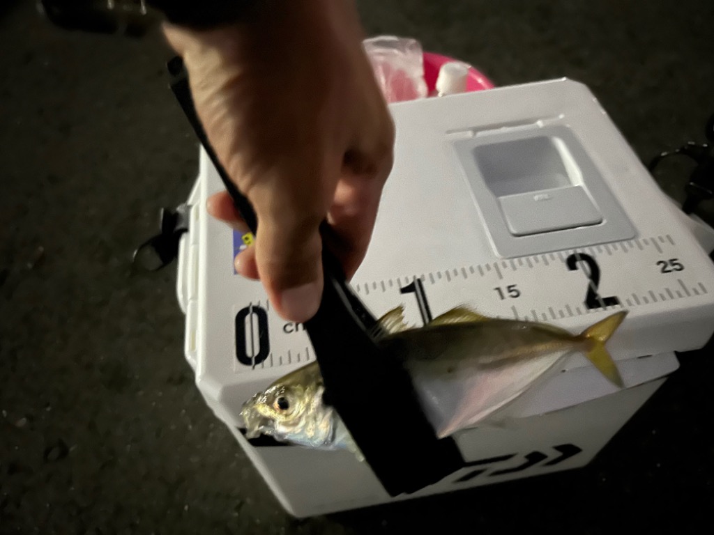 YGK YGK/よつあみ エックスブレイド S-PET アジング 失透