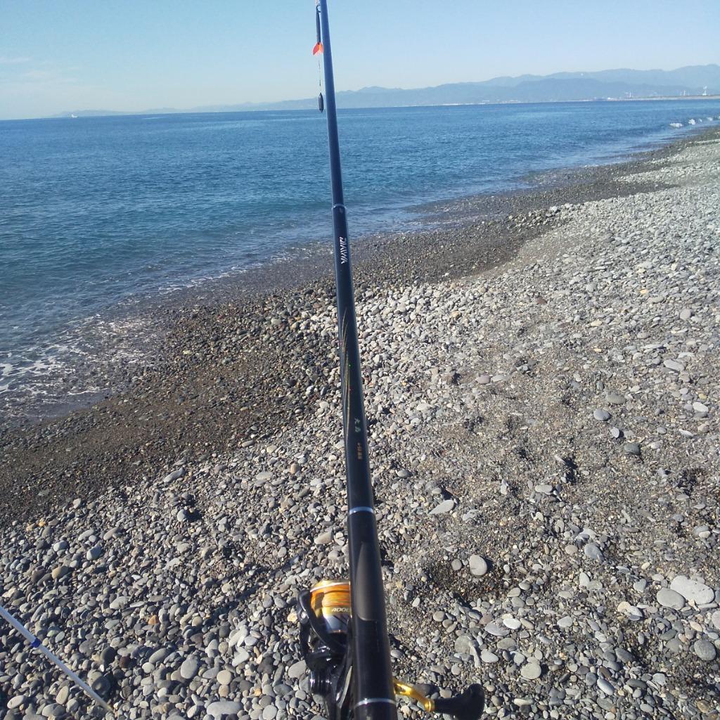 DAIWA（釣り） 【取り寄せ商品】 ダイワ 大島 (4号-53遠投)(遠投