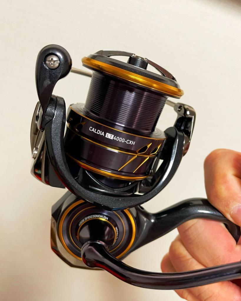 DAIWA（釣り） 【目玉商品】ダイワ 21 カルディア LT4000-CXH