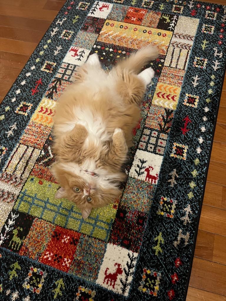 1件目のレビュー画像 | 0