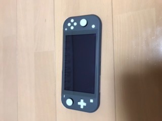 Nintendo Switch (Switch)ニンテンドースイッチライト本体 Nintendo Switch (Switch)ニンテンドースイッチライト本体