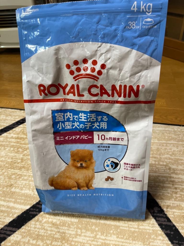 ロイヤルカナン SHN ミニ インドア パピー 4kg (52901012) ※お一人様4個まで [犬 ドッグ ドライフード]  :52901012:ペットファミリー アニマルボンズ - 通販 - Yahoo!ショッピング