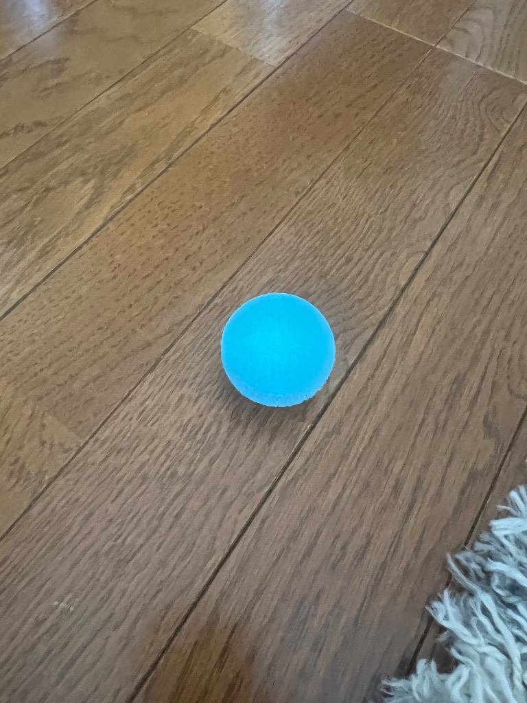 全体のレビュー画像 | 1-0