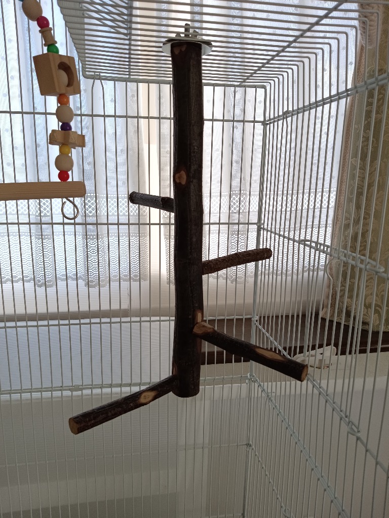 鳥 止まり木 インコ タワー 階段 モモンガ 爪とぎ パーチ 木