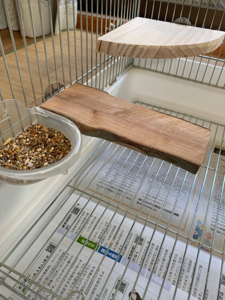 鳥 止まり木 りんご 鳥用止まり木 階段 遊び場 天然木 リンゴの
