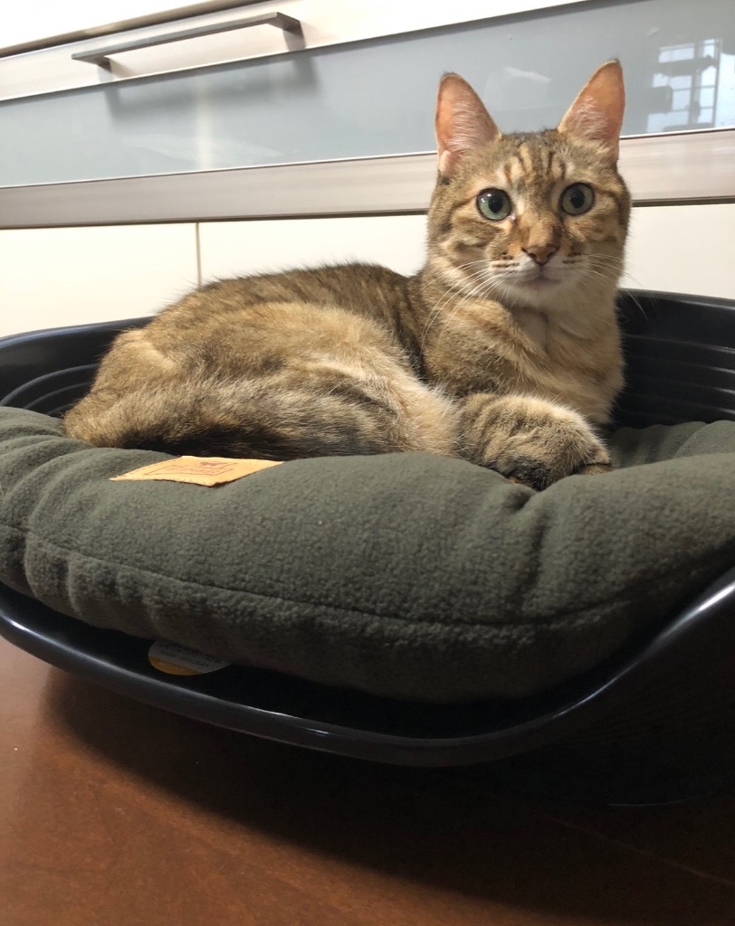 1件目のレビュー画像 | 1